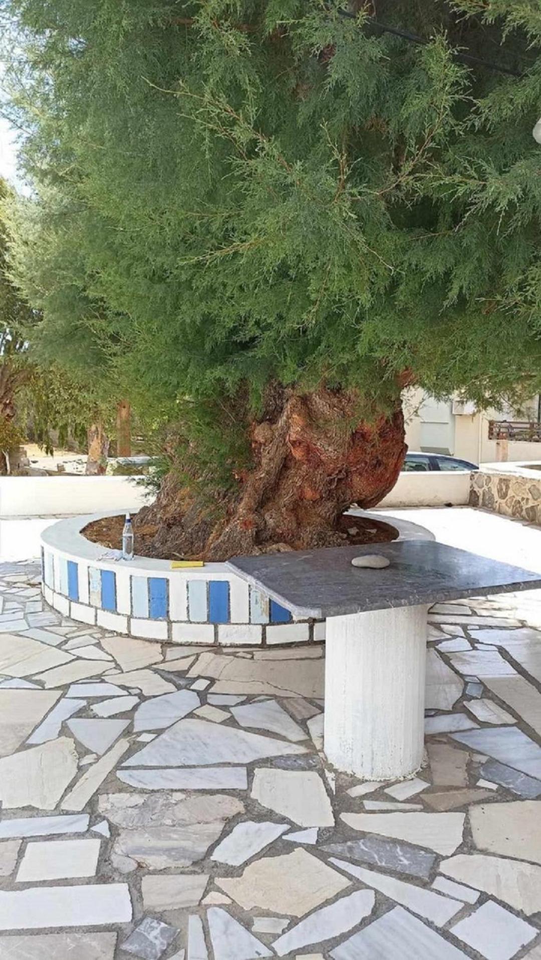 La Casa Azul - Blue House - Το Μπλε Σπίτι Διαμέρισμα Σητεία Εξωτερικό φωτογραφία